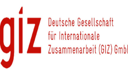 Deutsche Gesellschaft für Internationale Zusammenarbeit (GIZ)